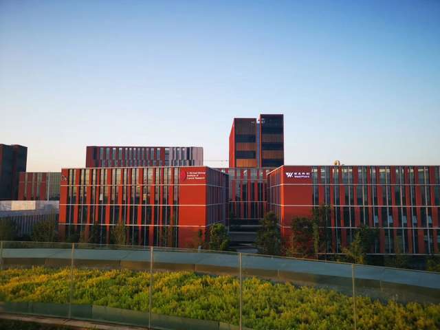 南京工程油缸多少钱