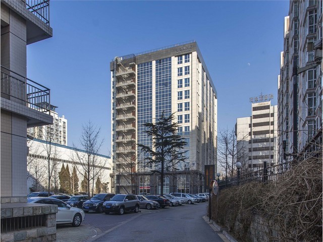 二代花魔芋种子厂家供应